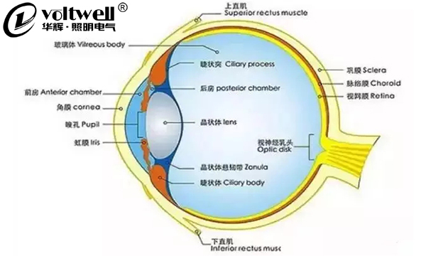 華輝照明最全的教室照明設(shè)計(jì)現(xiàn)狀及應(yīng)用解析